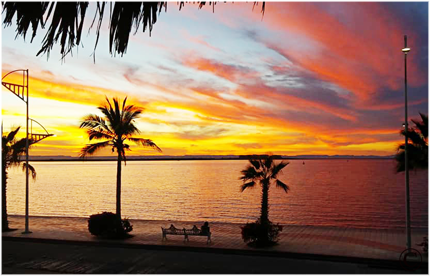 Located on the Malecon in La Paz, Baja Sur